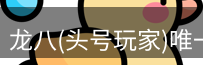 头号玩家龙8